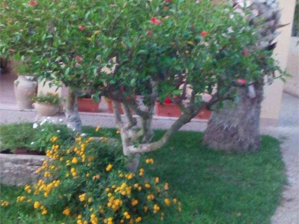 Attico / mansarda a Marsala - Foto 2