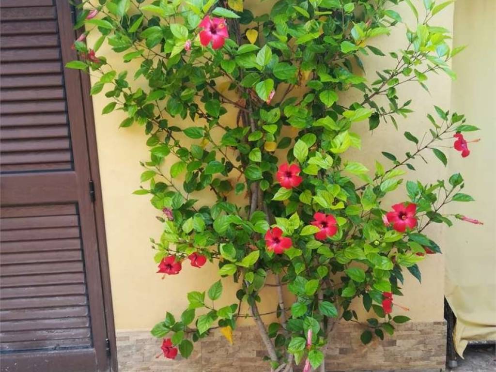 Attico / mansarda a Marsala - Foto 4