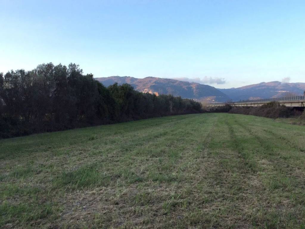 Terreno a Lamezia terme in Località Risi S.N.C. - Foto 5