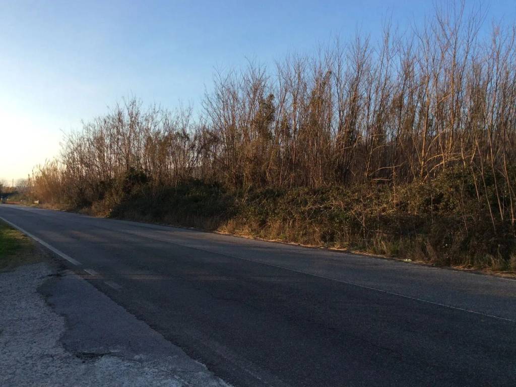 Immobile a Lamezia terme in Alida Nucifero S.N.C. - Foto 4