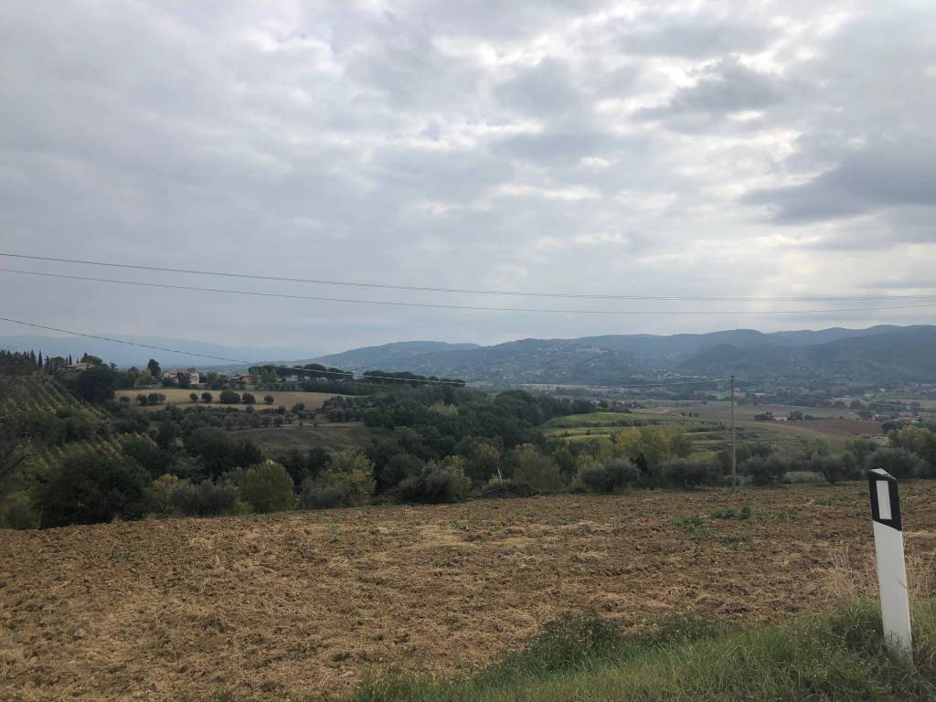 Terreno a Torgiano in Via del Colle - Foto 3
