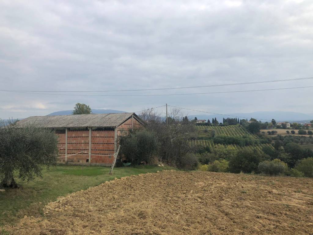 Terreno a Torgiano in Via del Colle - Foto 4