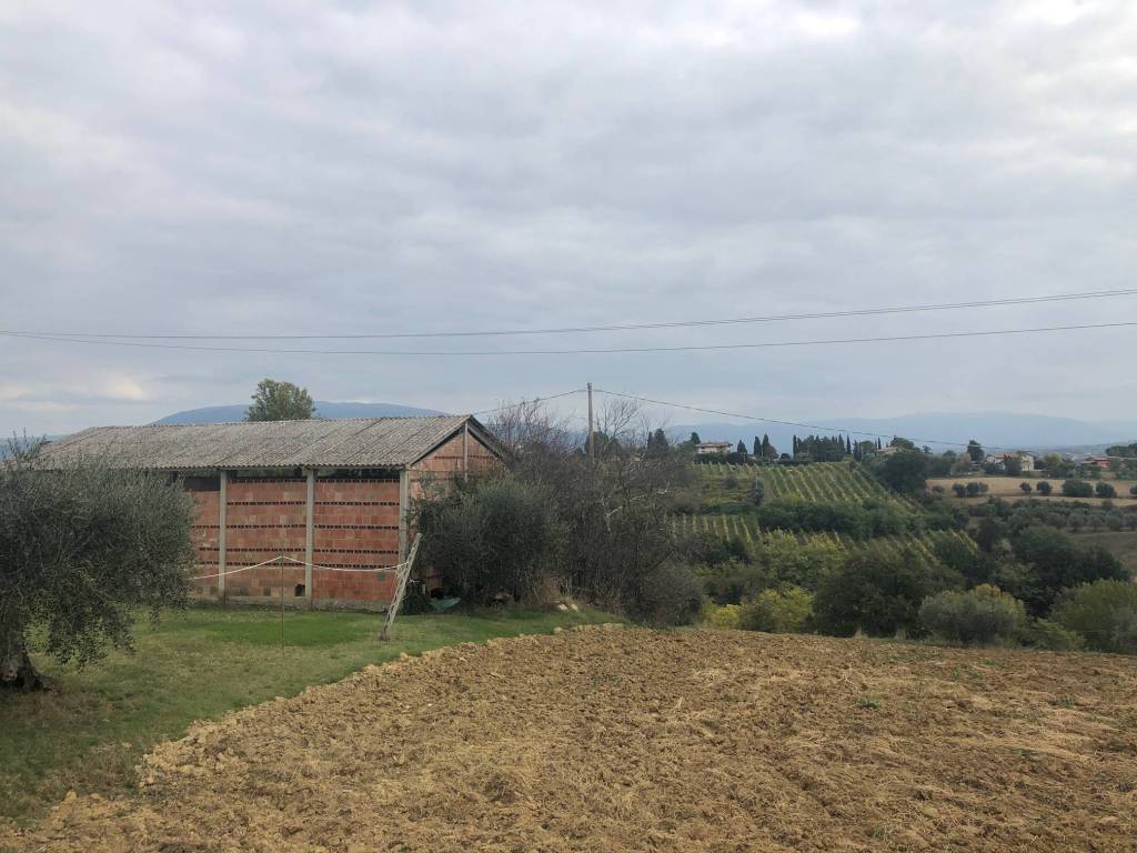 Terreno a Torgiano in Via del Colle - Foto 5