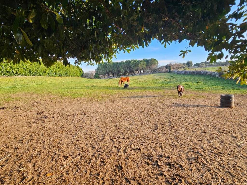 Rustico / casale a Martina franca - Foto 3