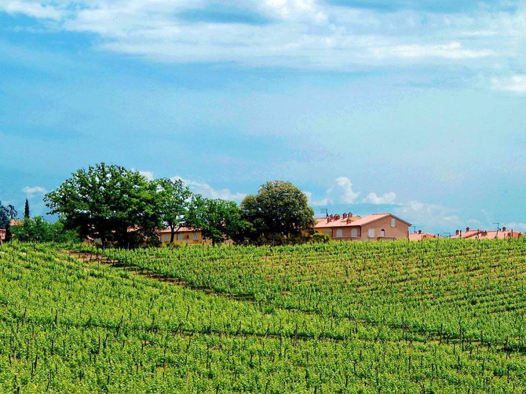 Appartamento a Castelnuovo berardenga - Foto 4