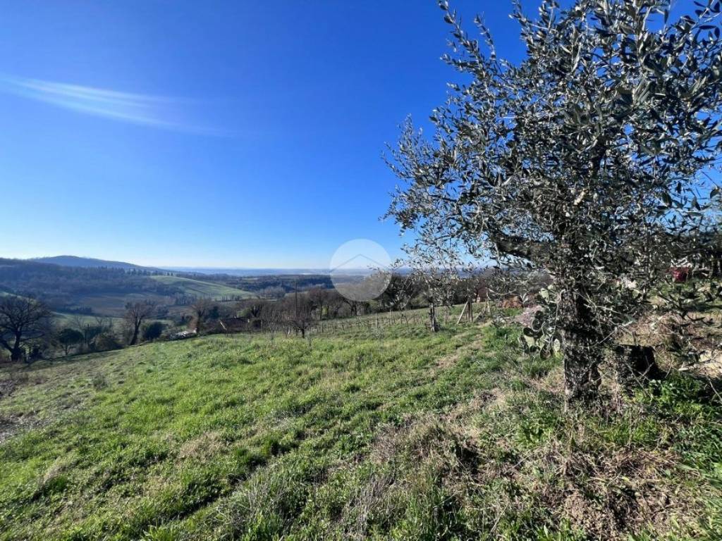 Terreno a Otricoli in Via Roma - Foto 3