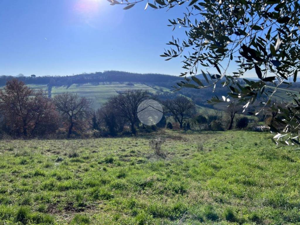 Terreno a Otricoli in Via Roma - Foto 4