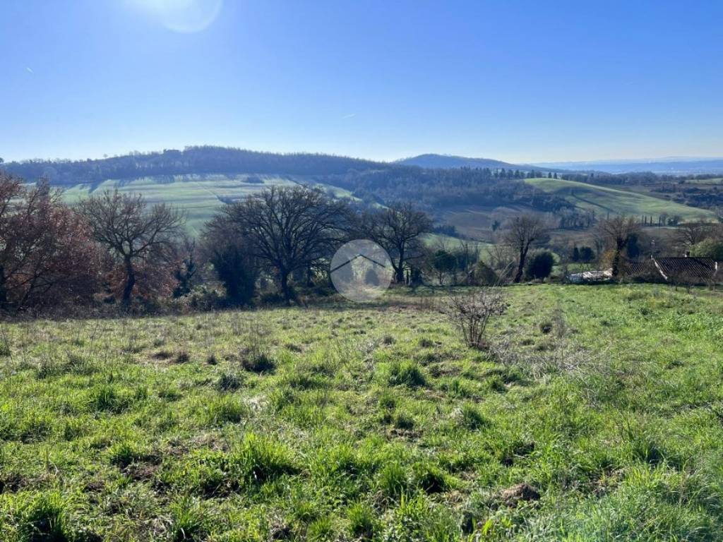 Terreno a Otricoli in Via Roma - Foto 5
