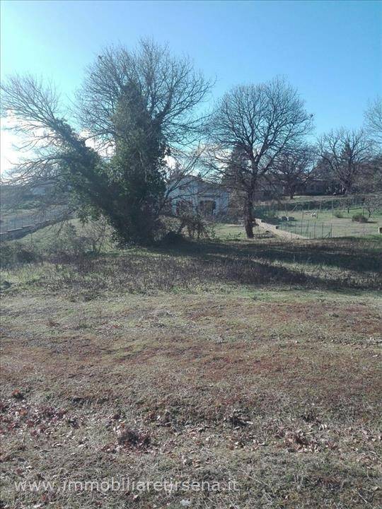 Terreno a Acquapendente - Foto 3