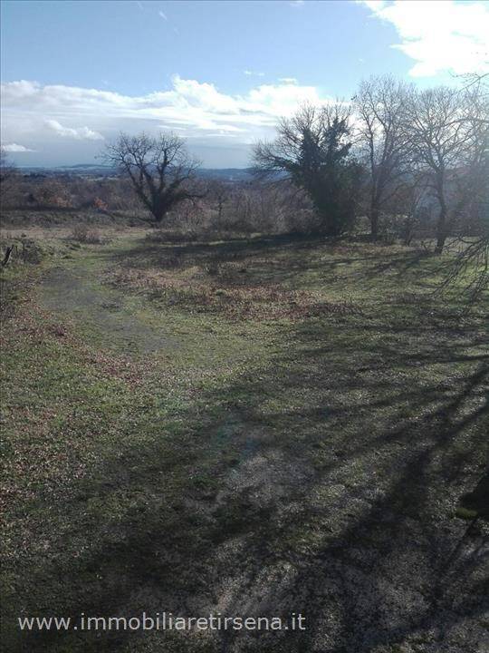Terreno a Acquapendente - Foto 4