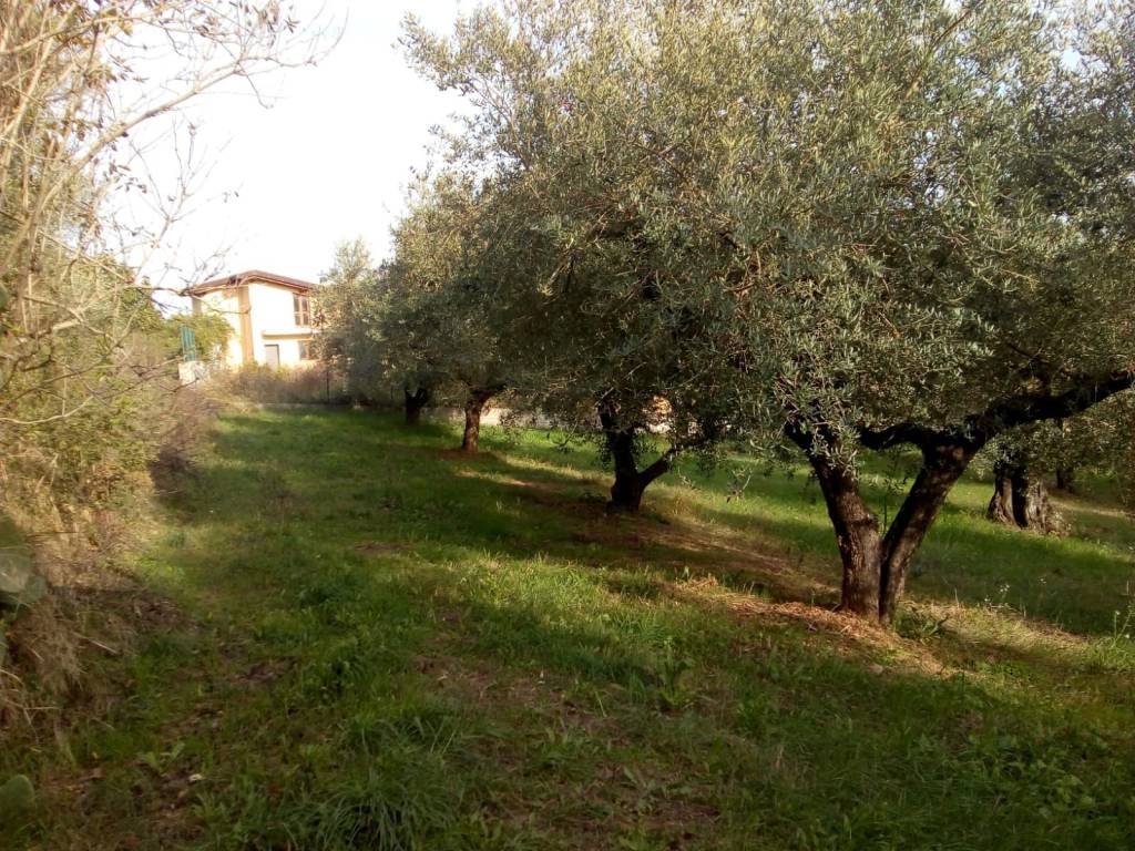 Terreno a Montesilvano in Via Alcide De Gasperi - Foto 2