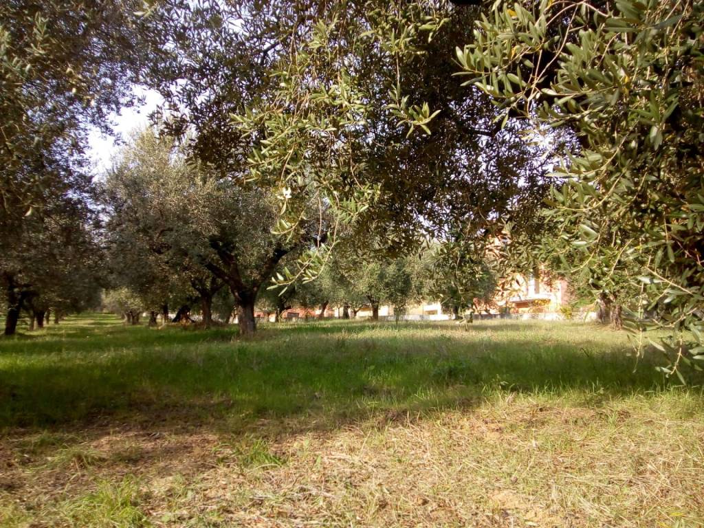 Terreno a Montesilvano in Via Alcide De Gasperi - Foto 3