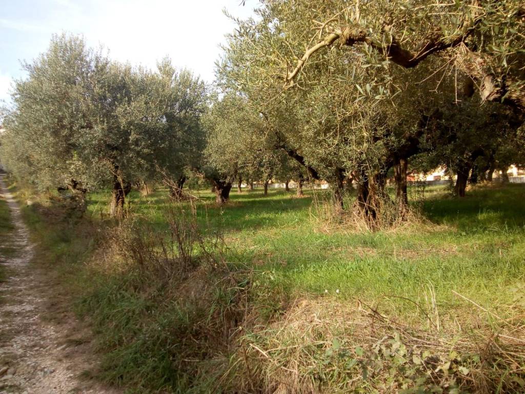 Terreno a Montesilvano in Via Alcide De Gasperi - Foto 4