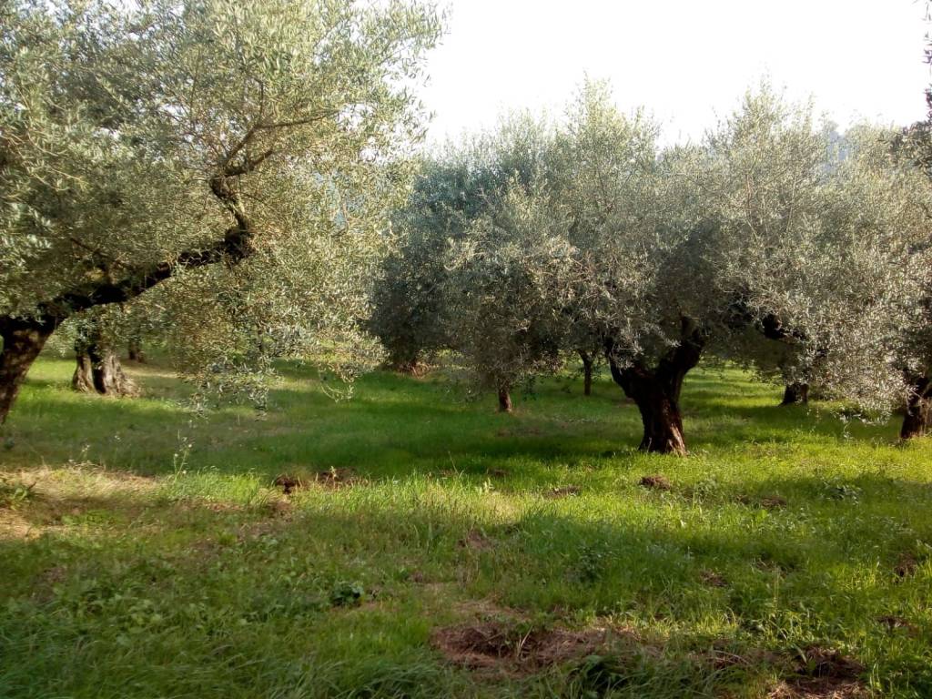 Terreno a Montesilvano in Via Alcide De Gasperi - Foto 5
