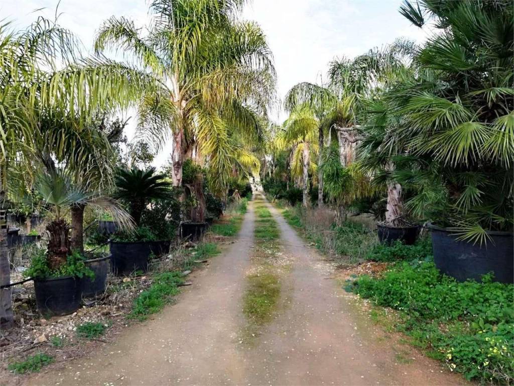 Immobile a Marsala - Foto 2