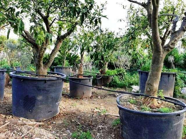 Immobile a Marsala - Foto 3