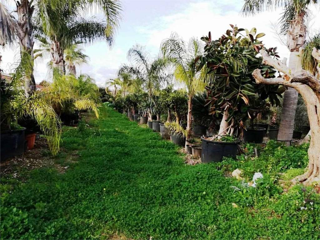 Immobile a Marsala - Foto 4