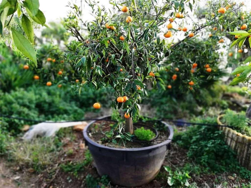 Immobile a Marsala - Foto 5