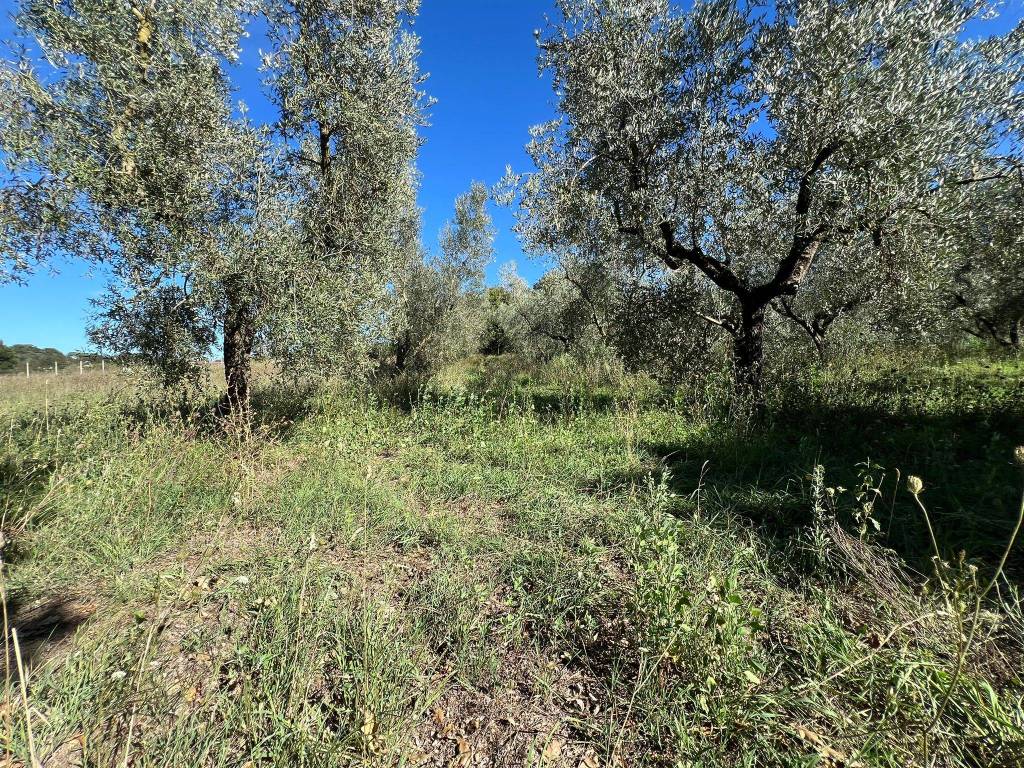 Terreno a Marta in Via dell'Artigianato, 20 - Foto 2