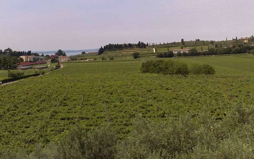 Immobile a Cavaion veronese - Foto 3