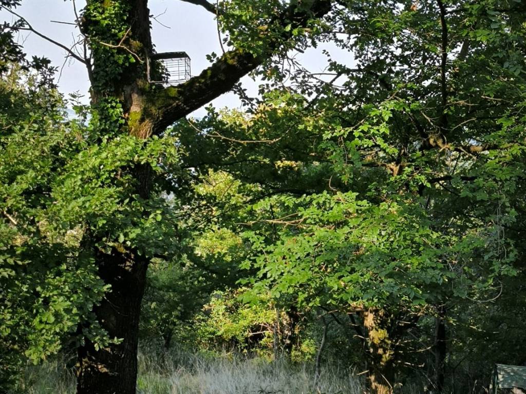 Terreno a Casazza - Foto 3