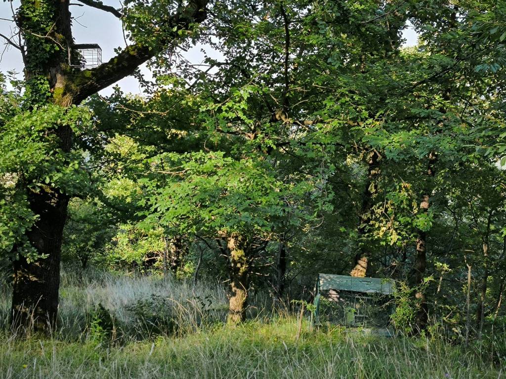 Terreno a Casazza - Foto 4