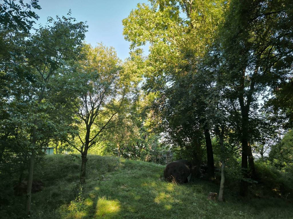 Terreno a Casazza - Foto 5