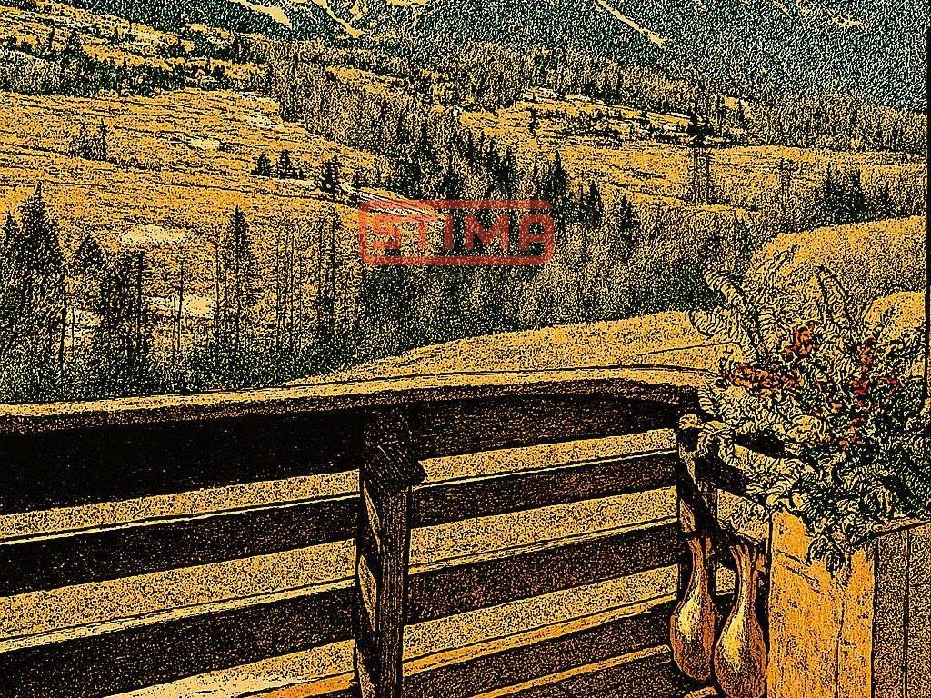 Appartamento a Cortina d'ampezzo - Foto 2