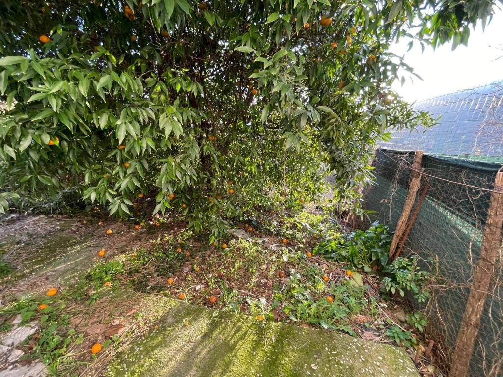 Casa indipendente a Foglianise in Via Umberto I - Foto 2