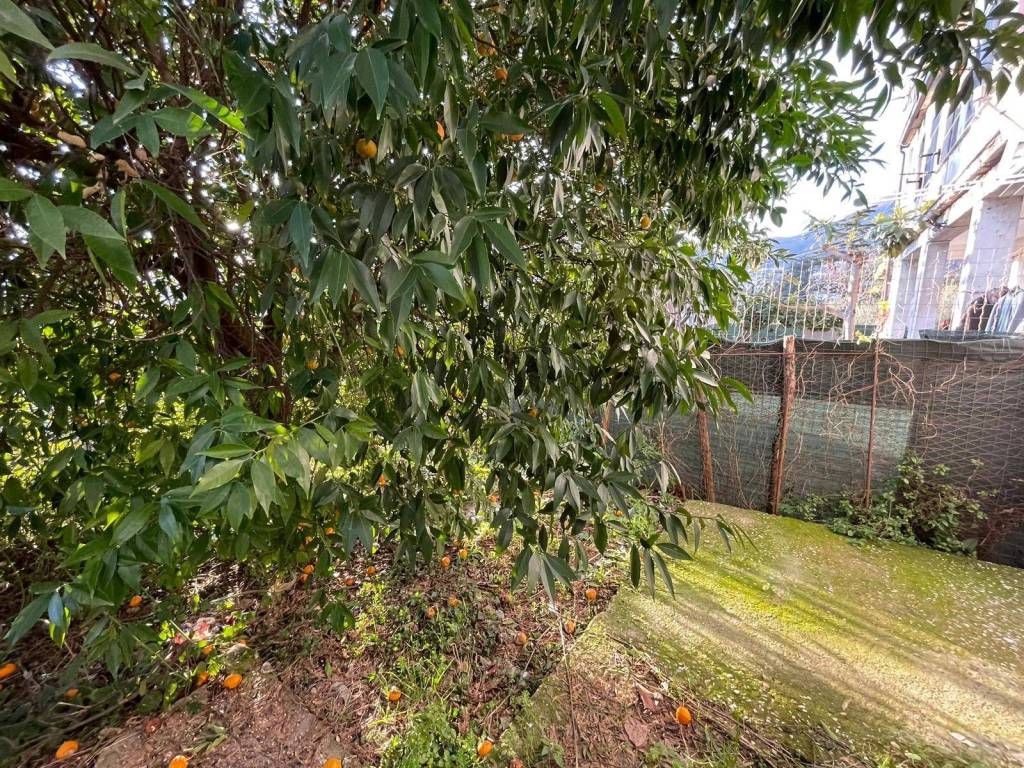 Casa indipendente a Foglianise in Via Umberto I - Foto 3