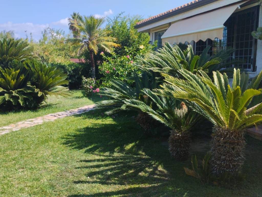 Villa a Ricadi in Contrada Capo Vaticano - Foto 3
