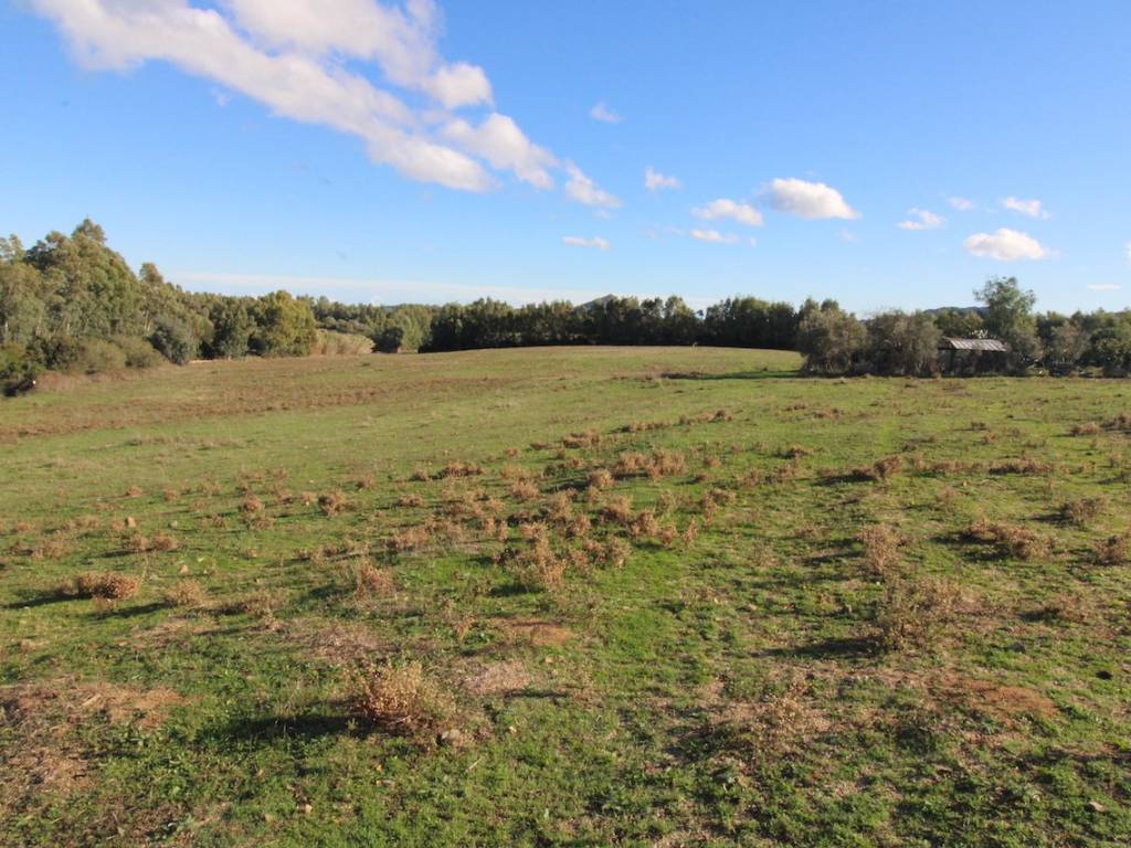 Terreno a Castiadas in ex carceri - Foto 2