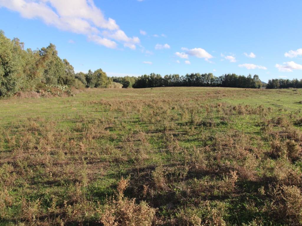 Terreno a Castiadas in ex carceri - Foto 3