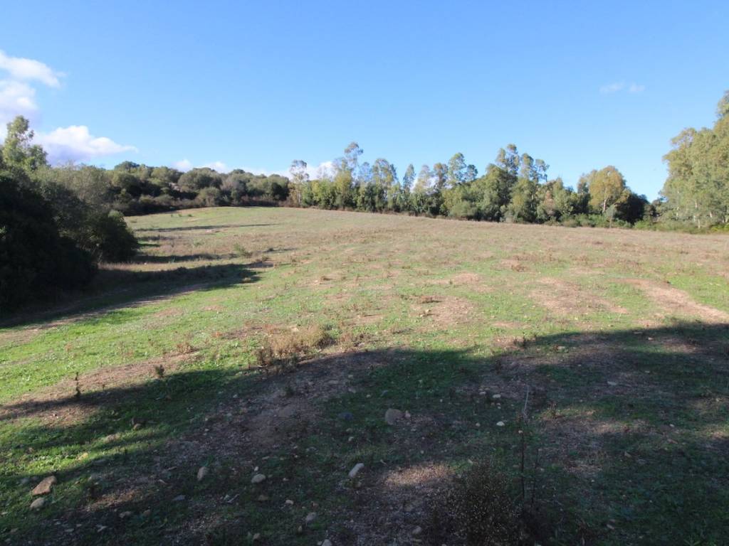 Terreno a Castiadas in ex carceri - Foto 4