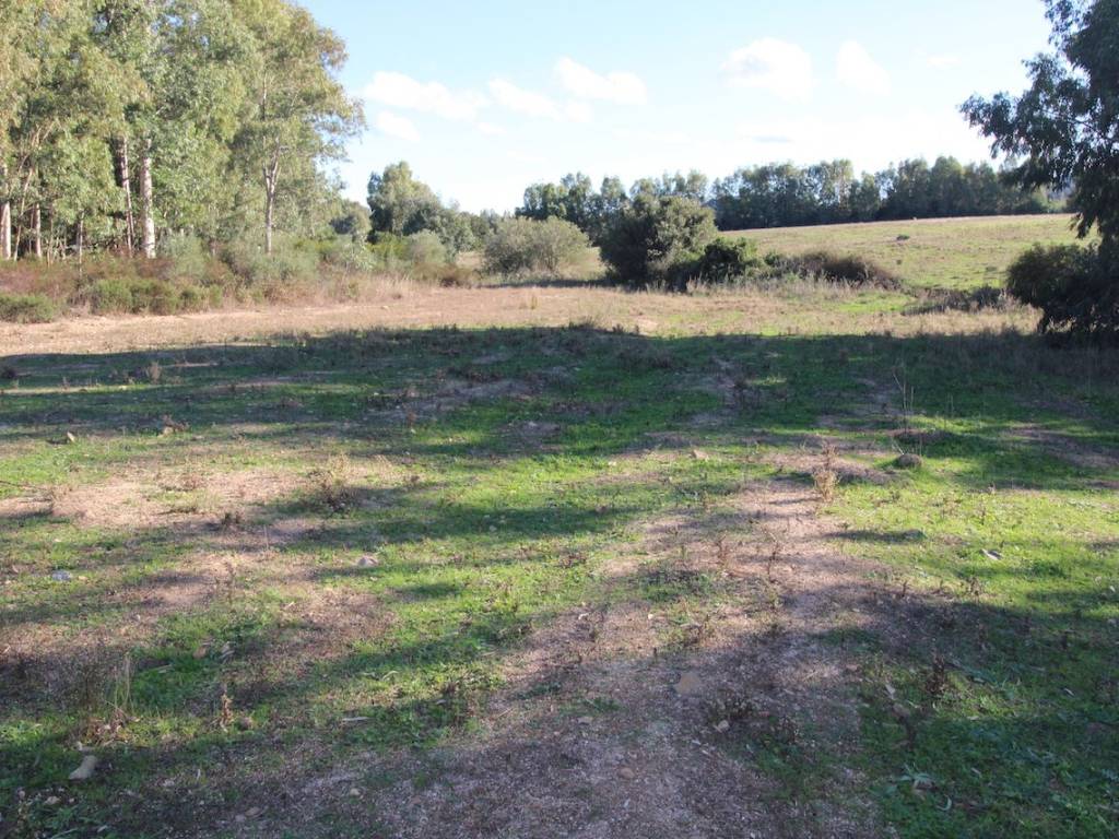 Terreno a Castiadas in ex carceri - Foto 5