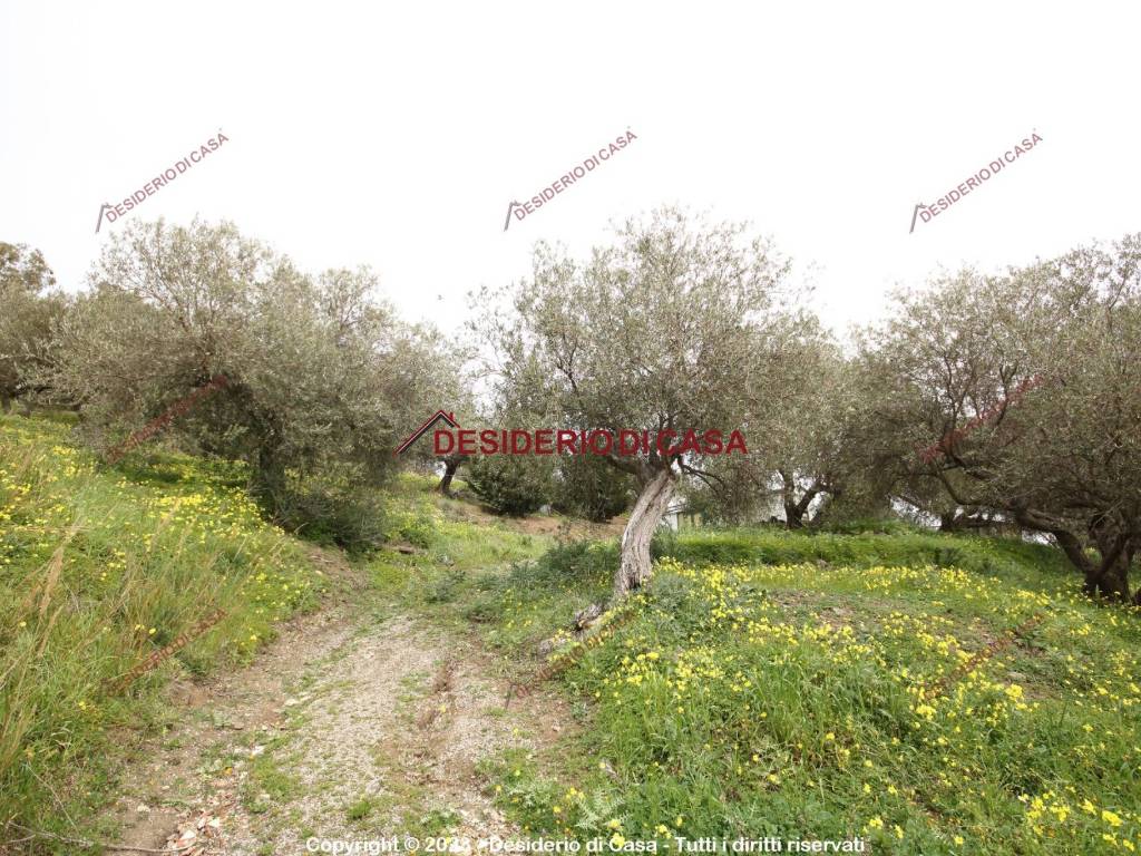 Terreno a Termini imerese in Contrada Cangemi - Foto 2