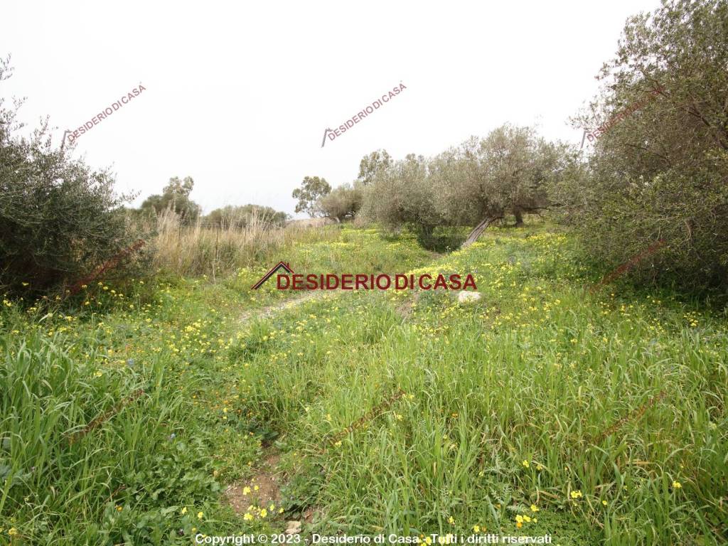 Terreno a Termini imerese in Contrada Cangemi - Foto 3