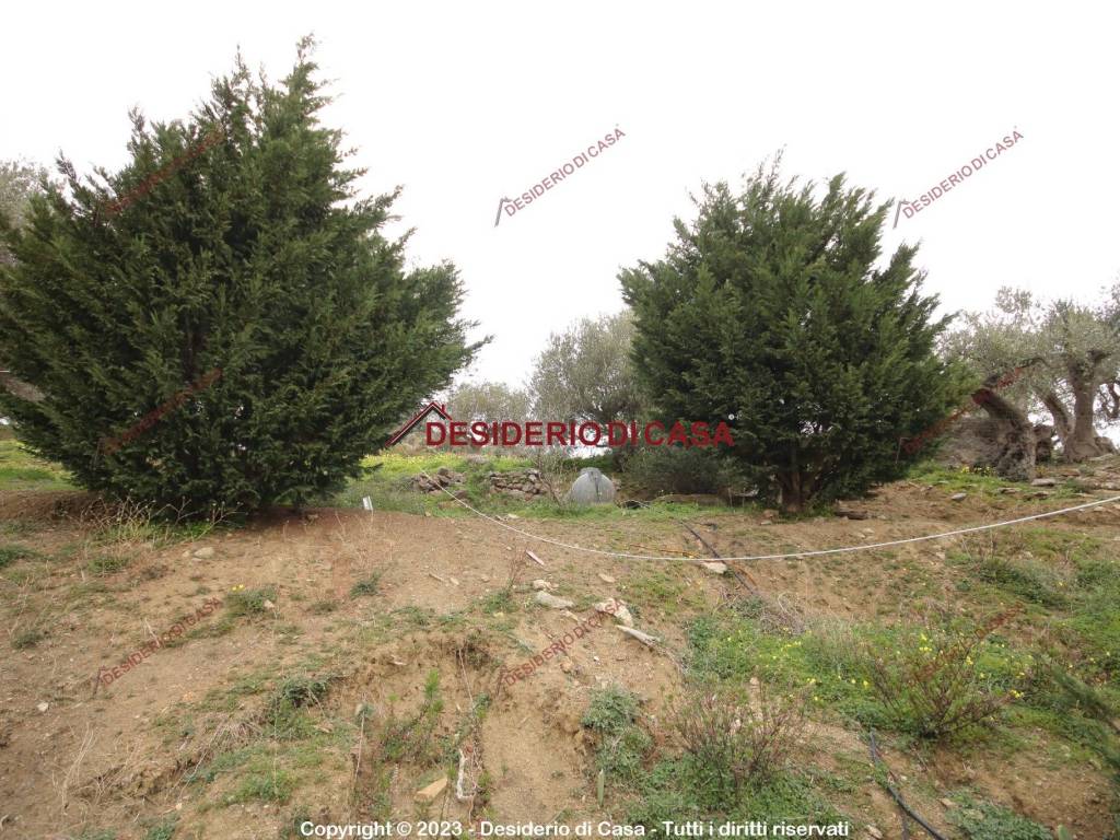 Terreno a Termini imerese in Contrada Cangemi - Foto 4