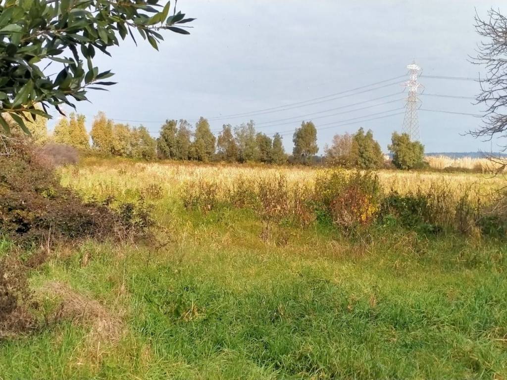 Rustico / casale a Tarquinia in Località Portaccia - Foto 3