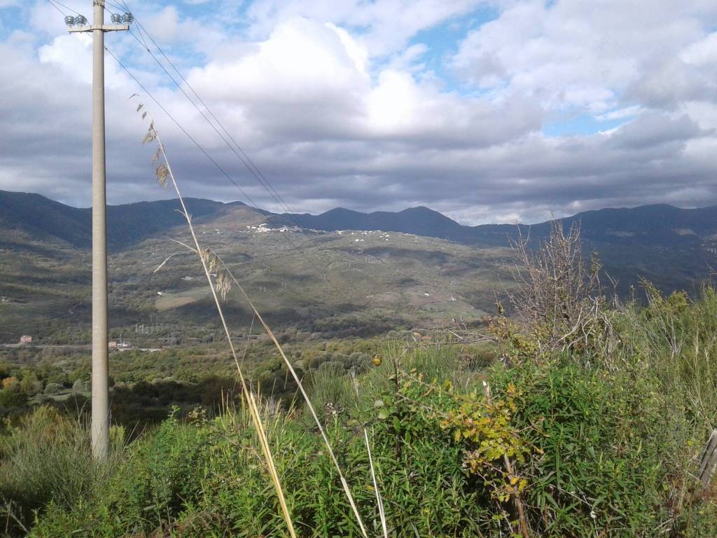 Terreno a Centola in Località Difesa - Foto 3