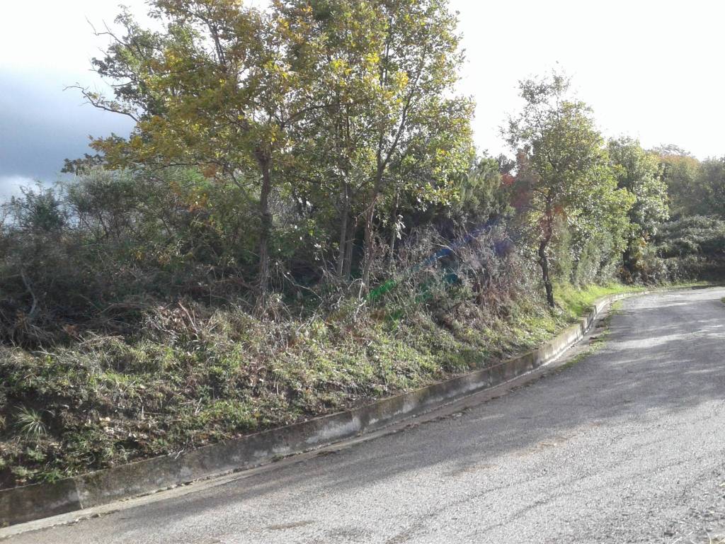 Terreno a Centola in Località Difesa - Foto 4