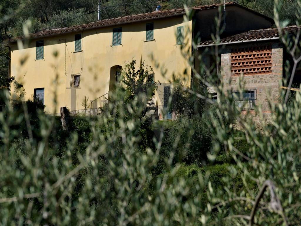 Rustico / casale a Pescia in Via di Collecchio - Foto 2