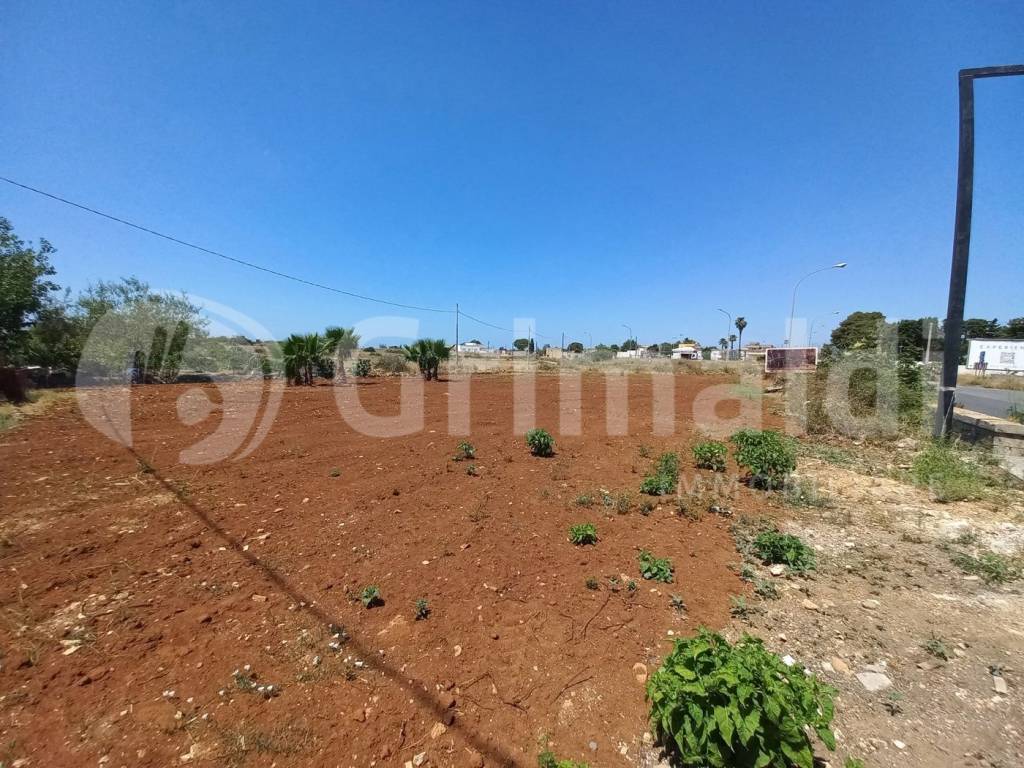 Terreno a Ugento in Via Ugo Giannuzzi, 130 - Foto 3