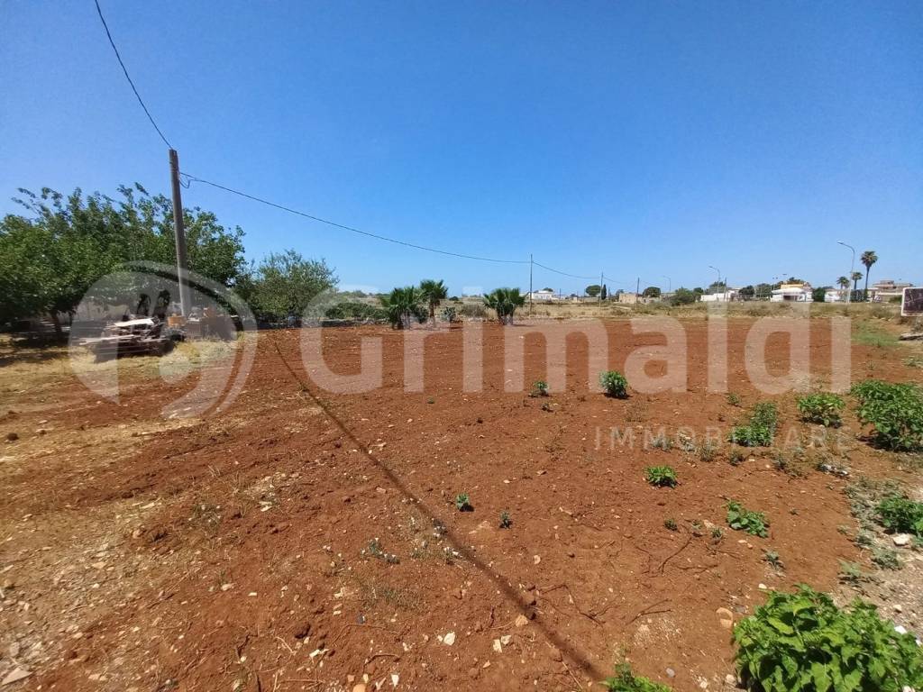 Terreno a Ugento in Via Ugo Giannuzzi, 130 - Foto 4