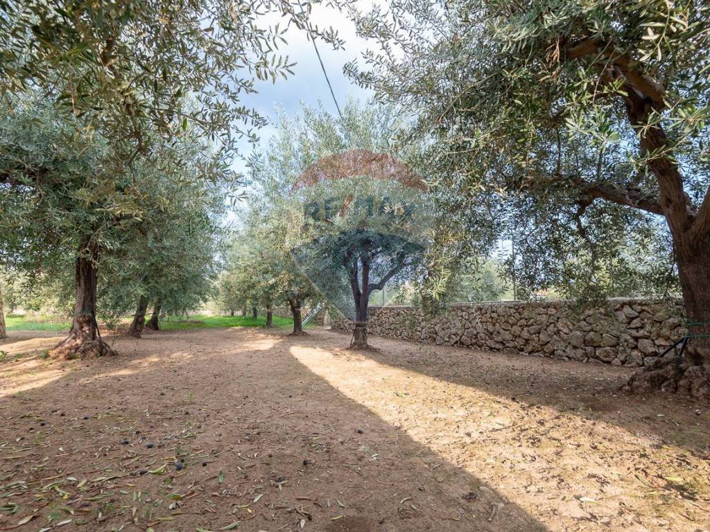 Villa a Avola in VIA FANGELLO, 80 - Foto 3