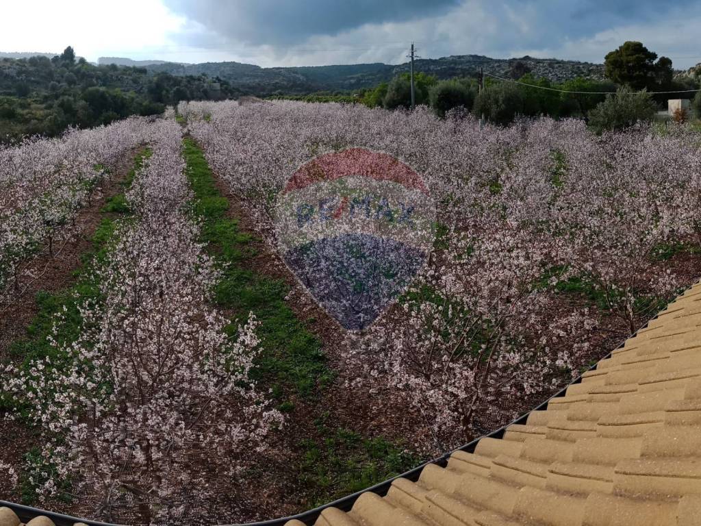 Terreno a Floridia in Contrada Case Nuove - Foto 2