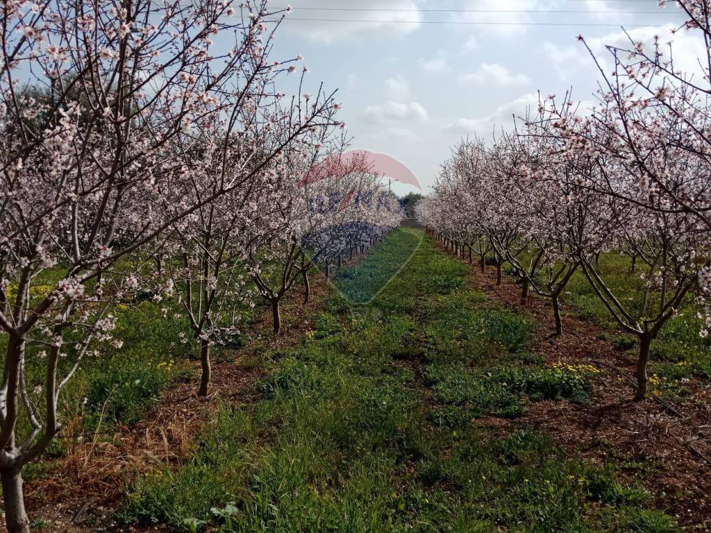Terreno a Floridia in Contrada Case Nuove - Foto 3