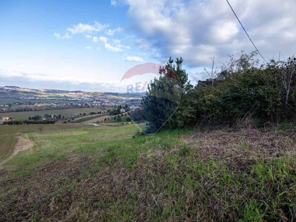 Terreno a Loreto - Foto 3