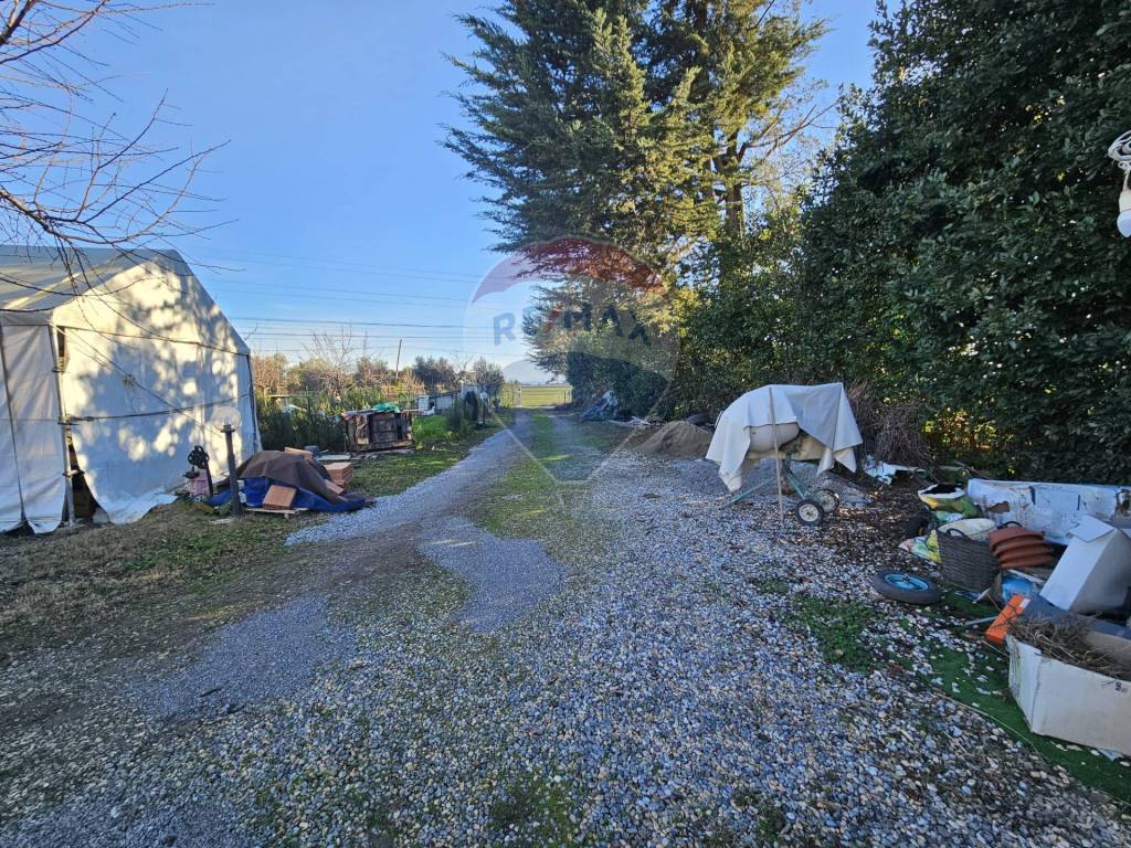 Casa indipendente a Campiglia marittima - Foto 3
