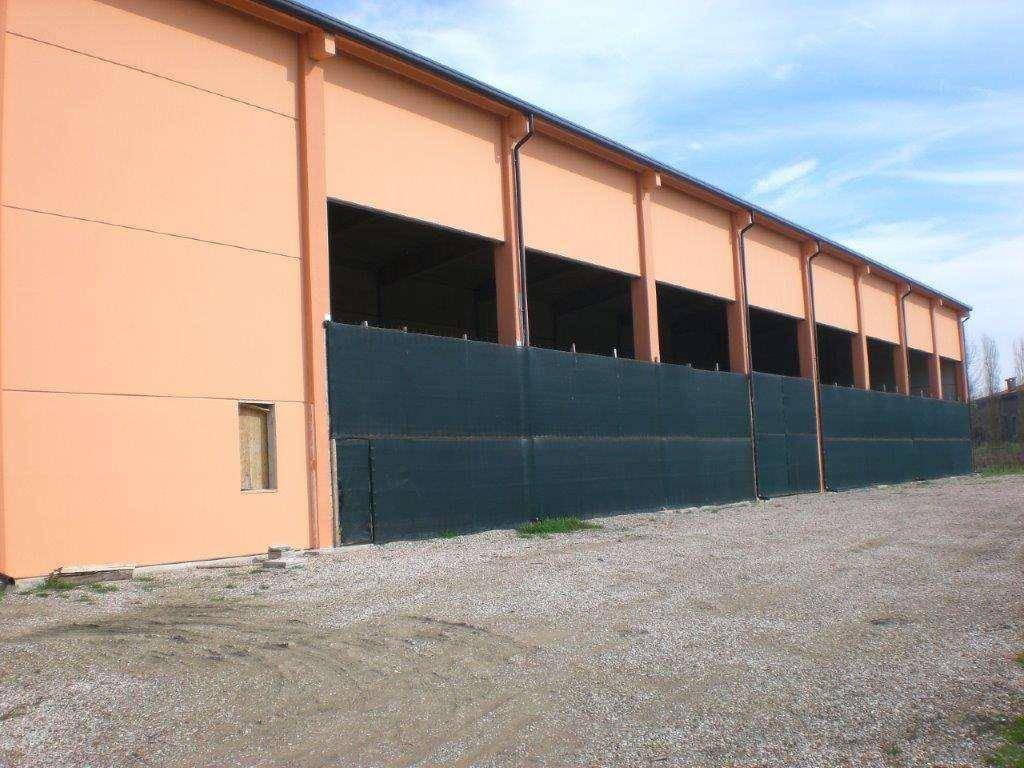 Immobile a Loreo in VIA CANALBIANCO - Foto 3